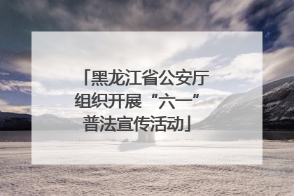 黑龙江省公安厅组织开展“六一”普法宣传活动