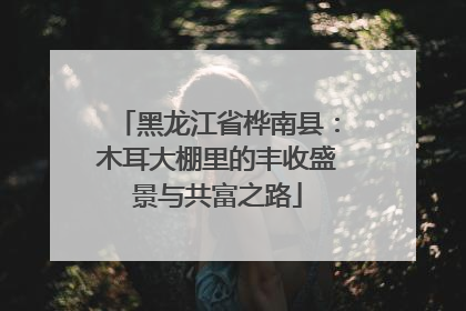 黑龙江省桦南县：木耳大棚里的丰收盛景与共富之路