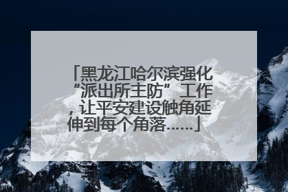 黑龙江哈尔滨强化“派出所主防”工作，让平安建设触角延伸到每个角落……