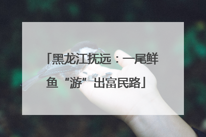 黑龙江抚远：一尾鲜鱼“游”出富民路