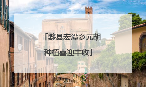 黟县宏潭乡元胡种植喜迎丰收
