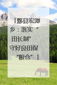 黟县宏潭乡：落实“田长制” 守好良田保“粮仓”