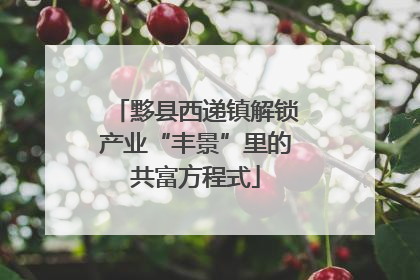 黟县西递镇解锁产业“丰景”里的共富方程式
