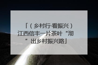 （乡村行·看振兴）江西信丰一片茶叶“沏”出乡村振兴路