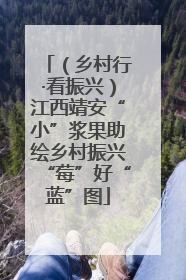 （乡村行·看振兴）江西靖安“小”浆果助绘乡村振兴“莓”好“蓝”图