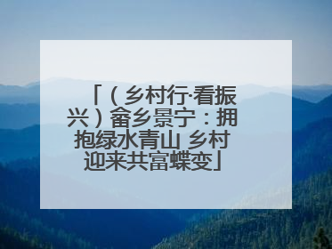 （乡村行·看振兴）畲乡景宁：拥抱绿水青山 乡村迎来共富蝶变