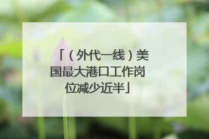 （外代一线）美国最大港口工作岗位减少近半