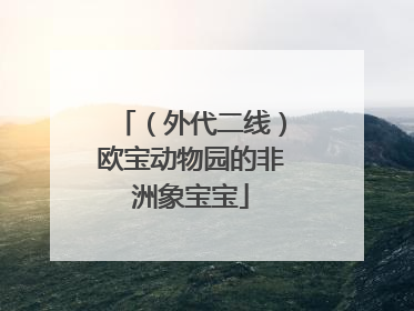 （外代二线）欧宝动物园的非洲象宝宝