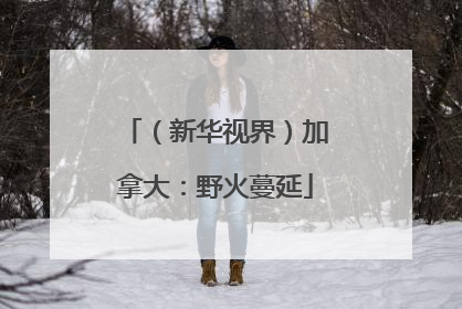 （新华视界）加拿大：野火蔓延