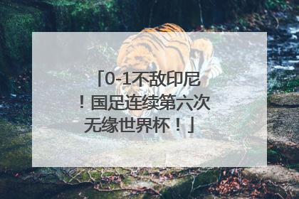 0-1不敌印尼！国足连续第六次无缘世界杯！