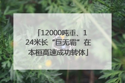 12000吨重、124米长“巨无霸”在本桓高速成功转体
