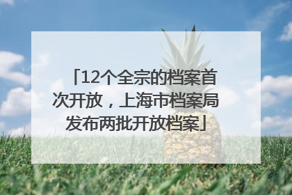 12个全宗的档案首次开放，上海市档案局发布两批开放档案