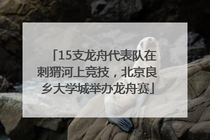 15支龙舟代表队在刺猬河上竞技，北京良乡大学城举办龙舟赛