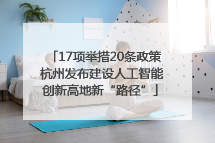 17项举措20条政策 杭州发布建设人工智能创新高地新“路径”