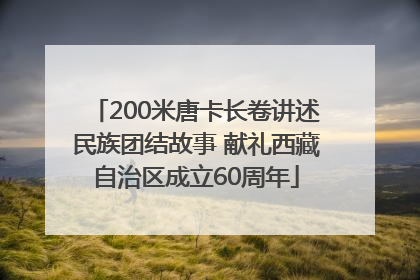 200米唐卡长卷讲述民族团结故事 献礼西藏自治区成立60周年