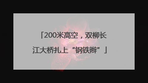200米高空，双柳长江大桥扎上“钢铁辫”