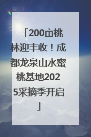 200亩桃林迎丰收！成都龙泉山水蜜桃基地2025采摘季开启