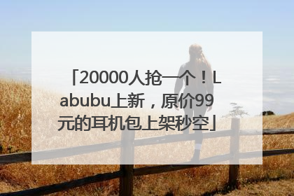 20000人抢一个！Labubu上新，原价99元的耳机包上架秒空