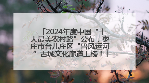 2024年度中国“十大最美农村路”公布，枣庄市台儿庄区“鲁风运河”古城文化廊道上榜！