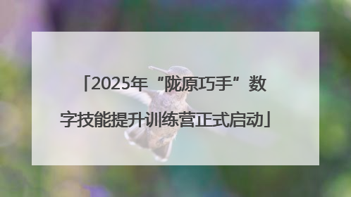 2025年“陇原巧手”数字技能提升训练营正式启动