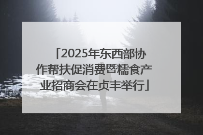 2025年东西部协作帮扶促消费暨糯食产业招商会在贞丰举行