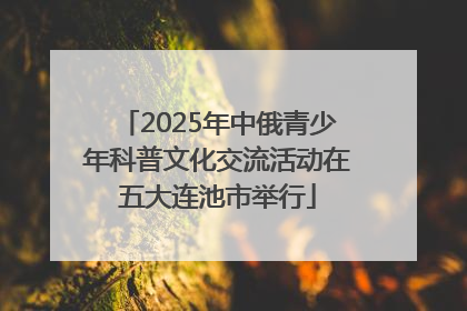 2025年中俄青少年科普文化交流活动在五大连池市举行
