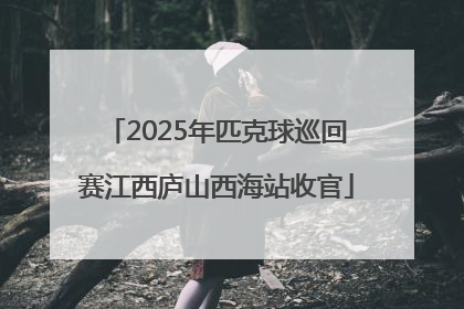 2025年匹克球巡回赛江西庐山西海站收官