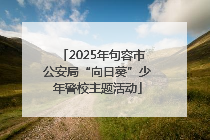 2025年句容市公安局“向日葵”少年警校主题活动