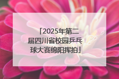2025年第二届四川省校园乒乓球大赛绵阳挥拍