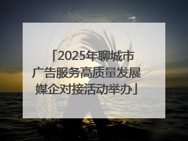 2025年聊城市广告服务高质量发展媒企对接活动举办