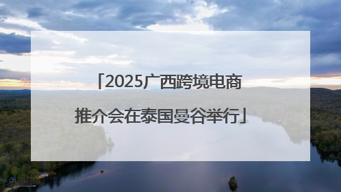 2025广西跨境电商推介会在泰国曼谷举行