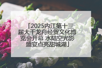 2025内江第十三届大千龙舟经贸文化博览会开幕 水陆空光影盛宴点亮甜城湖