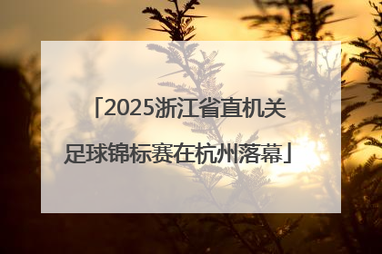 2025浙江省直机关足球锦标赛在杭州落幕