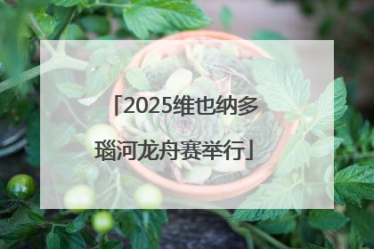 2025维也纳多瑙河龙舟赛举行