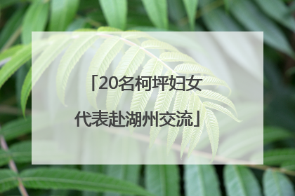 20名柯坪妇女代表赴湖州交流