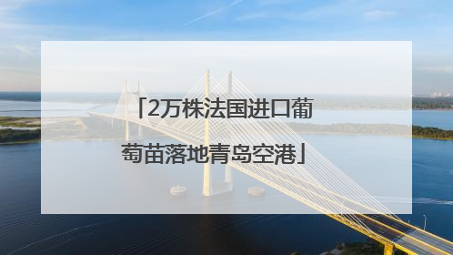 2万株法国进口葡萄苗落地青岛空港