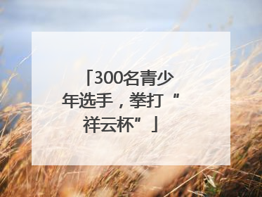 300名青少年选手，拳打“祥云杯”