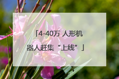 4-40万 人形机器人赶集“上线”