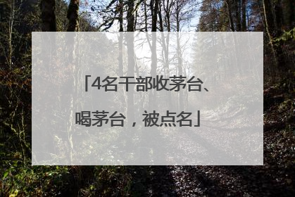 4名干部收茅台、喝茅台，被点名