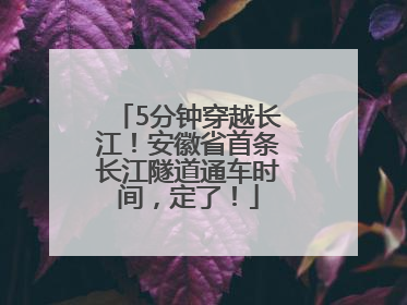 5分钟穿越长江！安徽省首条长江隧道通车时间，定了！