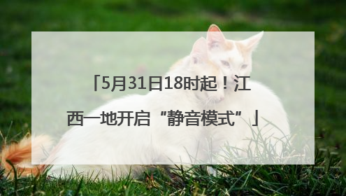 5月31日18时起！江西一地开启“静音模式”