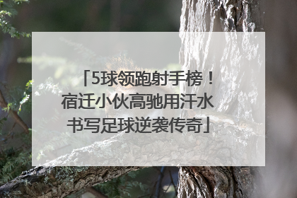 5球领跑射手榜！宿迁小伙高驰用汗水书写足球逆袭传奇