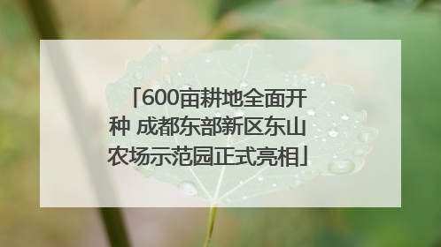 600亩耕地全面开种 成都东部新区东山农场示范园正式亮相