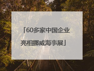 60多家中国企业亮相挪威海事展