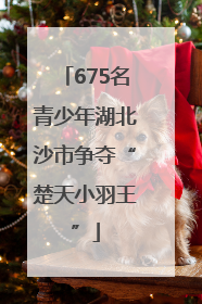 675名青少年湖北沙市争夺“楚天小羽王”