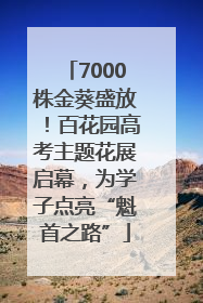 7000株金葵盛放！百花园高考主题花展启幕，为学子点亮“魁首之路”