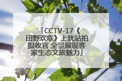 CCTV-17《田野欢歌》上犹站拍摄收官 全景展现客家生态文旅魅力