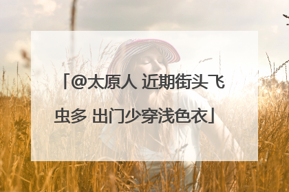@太原人 近期街头飞虫多 出门少穿浅色衣