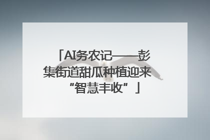 AI务农记——彭集街道甜瓜种植迎来“智慧丰收”