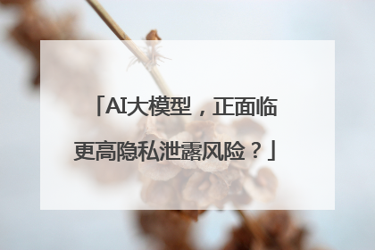 AI大模型，正面临更高隐私泄露风险？